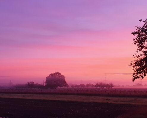 Sonnenaufgang über den Feldern, der Himmel ist violett